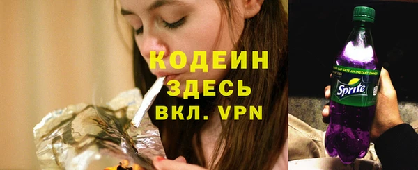 ГАЛЛЮЦИНОГЕННЫЕ ГРИБЫ Снежногорск