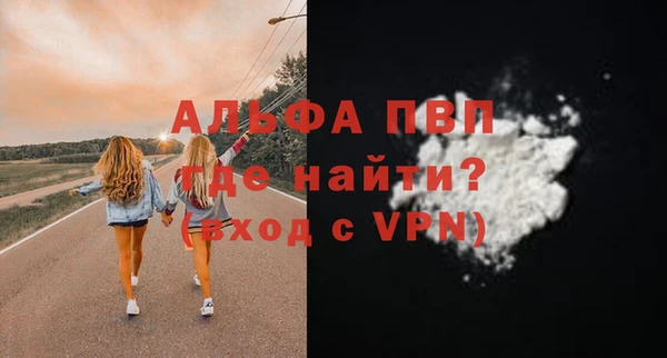сатива Гусев