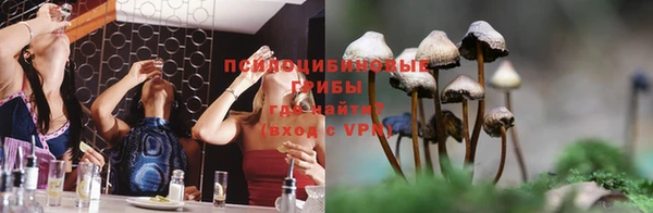крисы Гусиноозёрск