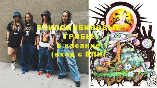 mdpv Гусь-Хрустальный