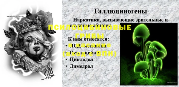 крисы Гусиноозёрск