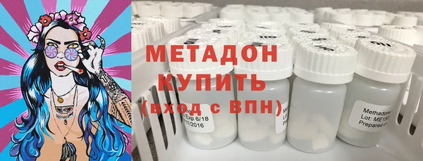 сатива Гусев